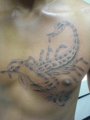 scorpion